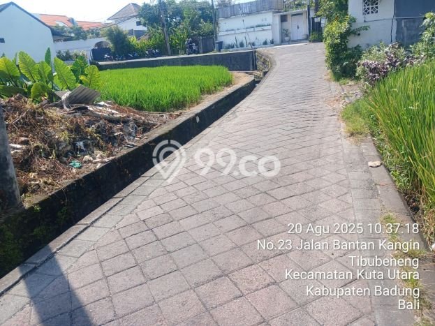 Vila For Rent di , Area 0m2m², Lingkungan Asri Vila For Rent di , Area 0m2m², Lingkungan Asri