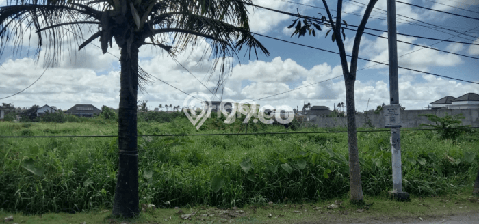 Tanah Disewakan Lokasi Badung Seluas 3550m2 Strategis dan Aman Tanah Disewakan Lokasi Badung Seluas 3550m2 Strategis dan Aman