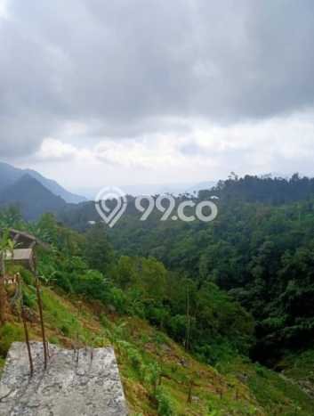Tanah Dijual Lokasi Buleleng Buleleng - Tanah Dijual Lokasi Buleleng Buleleng -