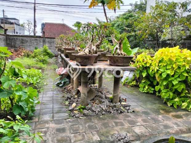 Ruko Dijual di Denpasar LT 568m2 & LB 130m2 Lokasi Terbaik! Ruko Dijual di Denpasar LT 568m2 & LB 130m2 Lokasi Terbaik!