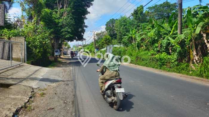 Kavling Tanah untuk Dijual di Tanah Lot, Tabanan, Luas 3875m2 Kavling Tanah untuk Dijual di Tanah Lot, Tabanan, Luas 3875m2