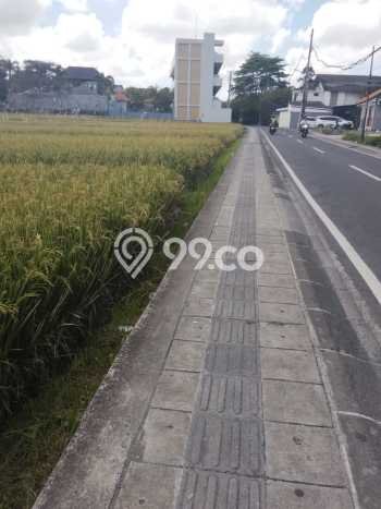 Untuk Disewa Tanah di Tibubeneng Badung Seluas 2400m2 Untuk Disewa Tanah di Tibubeneng Badung Seluas 2400m2