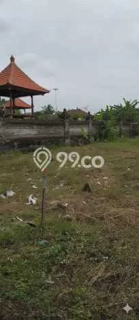 Jarang Ada! Tanah Kavling Disewakan di Denpasar 560m2 Jarang Ada! Tanah Kavling Disewakan di Denpasar 560m2