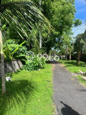 Tanah Kavling Dijual di Gianyar dengan Spesifikasi 1100m2 Tanah Kavling Dijual di Gianyar dengan Spesifikasi 1100m2