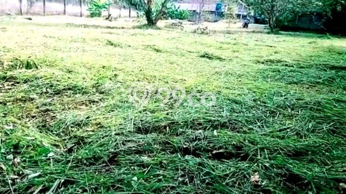 Untuk Dijual Tanah di Legok Tangerang Luas 1707m2 SHM Untuk Dijual Tanah di Legok Tangerang Luas 1707m2 SHM