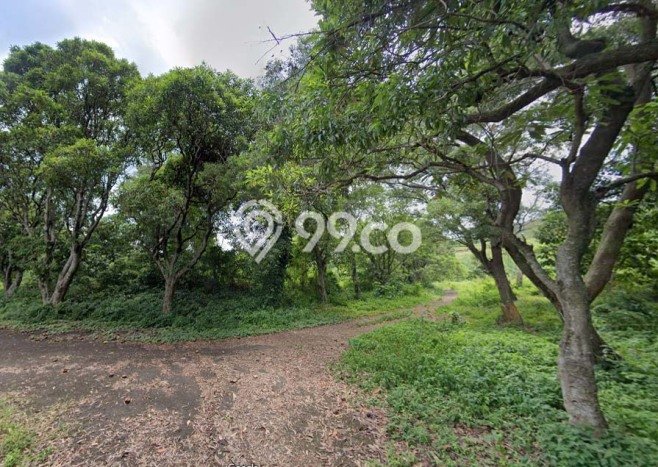 Tanah Kavling Dijual di Bogor dengan Spesifikasi 993700m2 Tanah Kavling Dijual di Bogor dengan Spesifikasi 993700m2