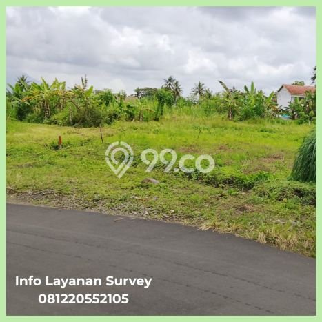 Jarang Ada! Tanah di Ngaglik Punya Luas 226m2 SHM Jarang Ada! Tanah di Ngaglik Punya Luas 226m2 SHM