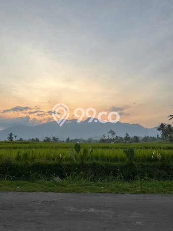 Kesempatan Bisnis! Vila Kawasan Cisayong, Luas 3575m2m², ROI Tinggi untuk bisnis Kesempatan Bisnis! Vila Kawasan Cisayong, Luas 3575m2m², ROI Tinggi untuk bisnis
