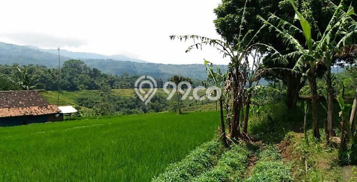 Kavling Tanah di Nagreg Dijual Luas 30000m2 Legalitas SHM Kavling Tanah di Nagreg Dijual Luas 30000m2 Legalitas SHM