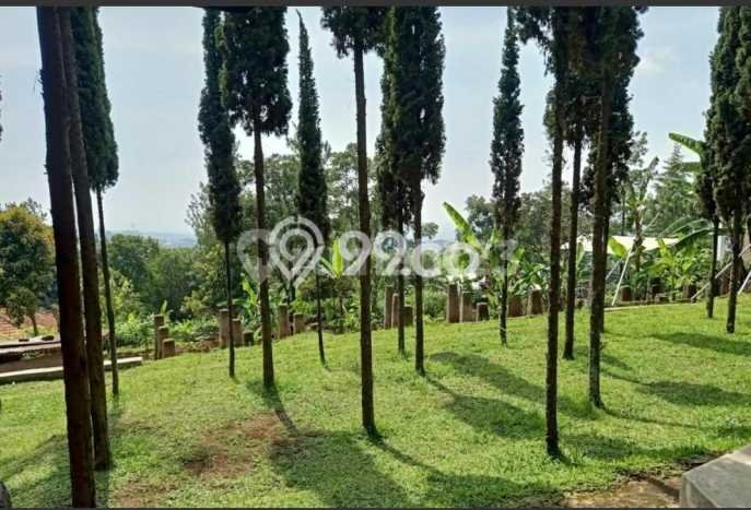 Kavling Tanah di Coblong Dijual Luas 2292m2 Legalitas SHM Kavling Tanah di Coblong Dijual Luas 2292m2 Legalitas SHM