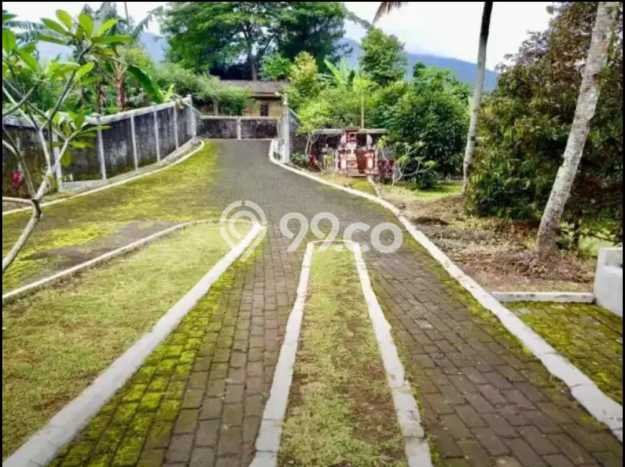 Jarang Ada! Tanah di Bogor Selatan Punya Luas 3273m2 SHM Jarang Ada! Tanah di Bogor Selatan Punya Luas 3273m2 SHM