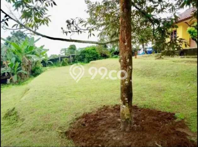 Jarang Ada! Tanah di Bogor Selatan Punya Luas 3273m2 SHM Jarang Ada! Tanah di Bogor Selatan Punya Luas 3273m2 SHM