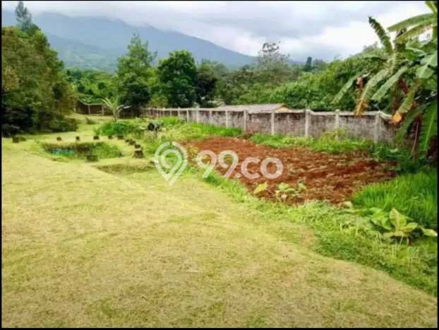 Jarang Ada! Tanah di Bogor Selatan Punya Luas 3273m2 SHM Jarang Ada! Tanah di Bogor Selatan Punya Luas 3273m2 SHM