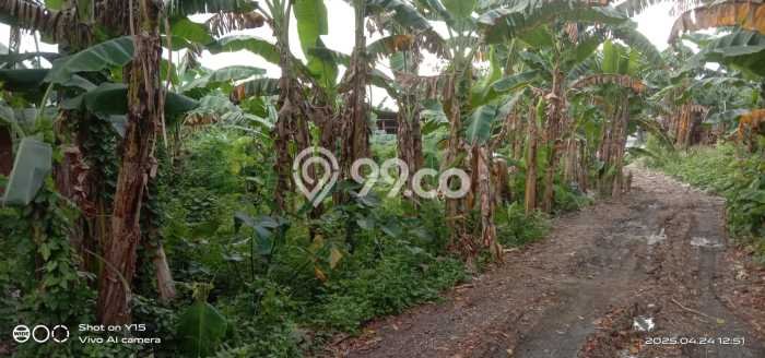 Untuk Dijual Tanah di Tangerang, Luas 2259m2 SHM Untuk Dijual Tanah di Tangerang, Luas 2259m2 SHM