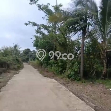 Tanah Kosong Dijual di Serang dengan Area 4200m2 Tanah Kosong Dijual di Serang dengan Area 4200m2