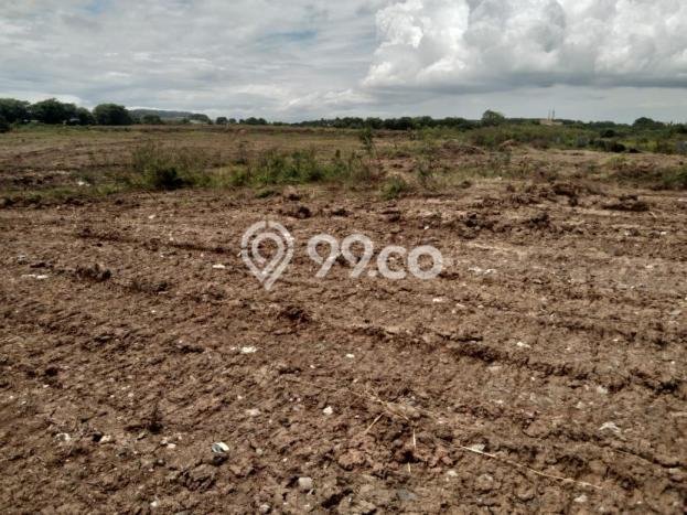 Tanah Kavling Dijual di Tangerang dengan Spesifikasi 10000m2 Tanah Kavling Dijual di Tangerang dengan Spesifikasi 10000m2