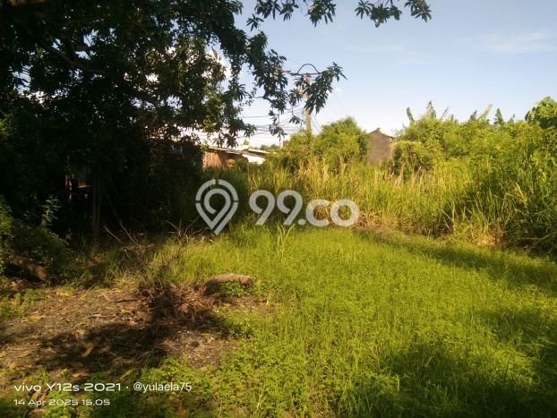 Lahan Dijual Lokasi Mauk, Tangerang dengan Luas Tanah 1535m2 dan Status SHM Lahan Dijual Lokasi Mauk, Tangerang dengan Luas Tanah 1535m2 dan Status SHM