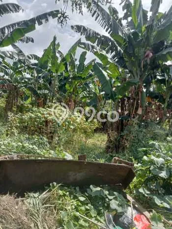 Tanah Kavling Dijual di Tangerang dengan Spesifikasi 10000m2 Tanah Kavling Dijual di Tangerang dengan Spesifikasi 10000m2