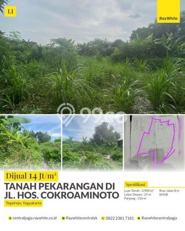 Tanah Kosong Dijual di Yogyakarta dengan Area 3900m2 Tanah Kosong Dijual di Yogyakarta dengan Area 3900m2