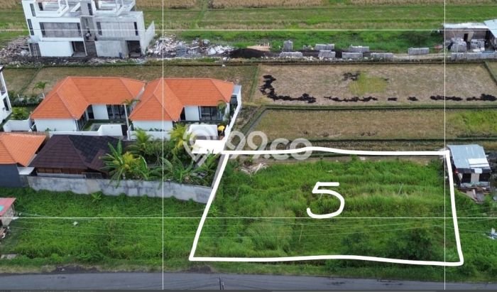 Tanah Disewakan Lokasi Badung Seluas 500m2 Strategis dan Aman Tanah Disewakan Lokasi Badung Seluas 500m2 Strategis dan Aman