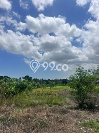 Tanah Disewa di Tumbak Bayuh Strategis dan Memiliki Luas 10500m2 Tanah Disewa di Tumbak Bayuh Strategis dan Memiliki Luas 10500m2