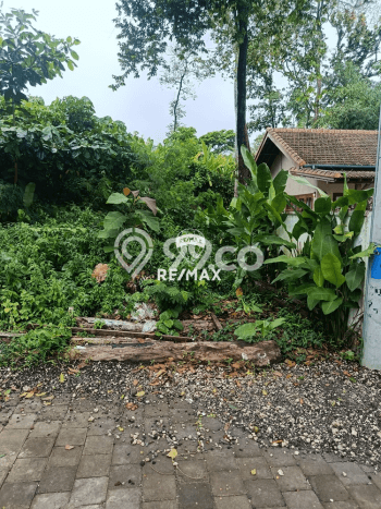 Kavling Tanah untuk Disewa di Canggu Lahan Luas 200m2 Kavling Tanah untuk Disewa di Canggu Lahan Luas 200m2