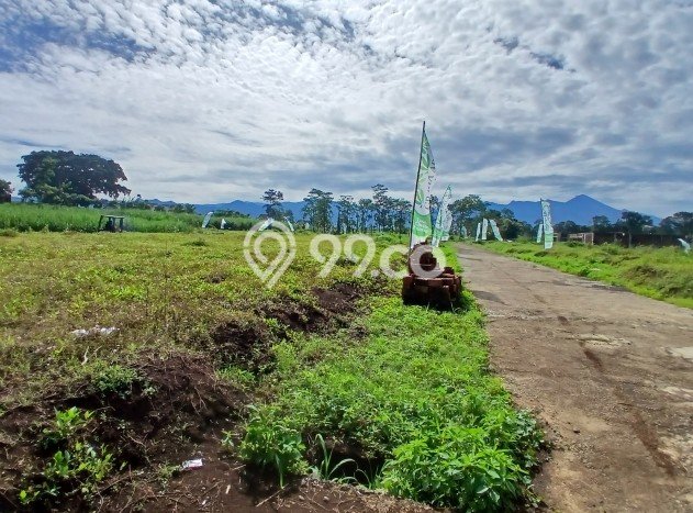 Tanah Strategis di Pakis, Luas 60m2m², Cocok untuk Perumahan Tanah Strategis di Pakis, Luas 60m2m², Cocok untuk Perumahan