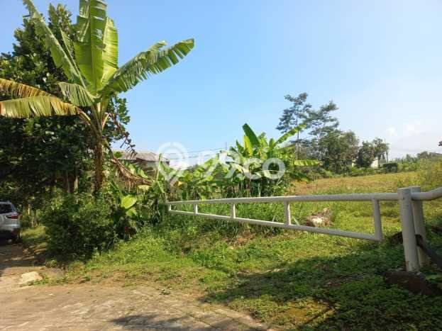 Untuk Dijual Tanah di Malang Kota Malang Luas 200m2 SHM Untuk Dijual Tanah di Malang Kota Malang Luas 200m2 SHM