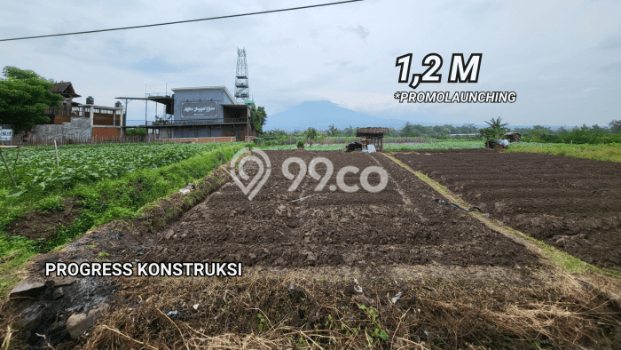 Rumah Modern Cantik 10 KT Bisa Langsung Pindah di Dau Rumah Modern Cantik 10 KT Bisa Langsung Pindah di Dau