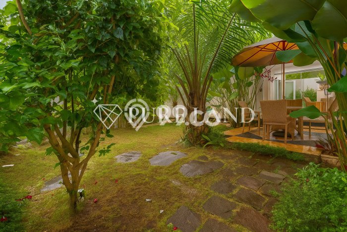 Disewakan Segera Rumah Kondisi Bagus di Area Ubud, Gianyar Disewakan Segera Rumah Kondisi Bagus di Area Ubud, Gianyar