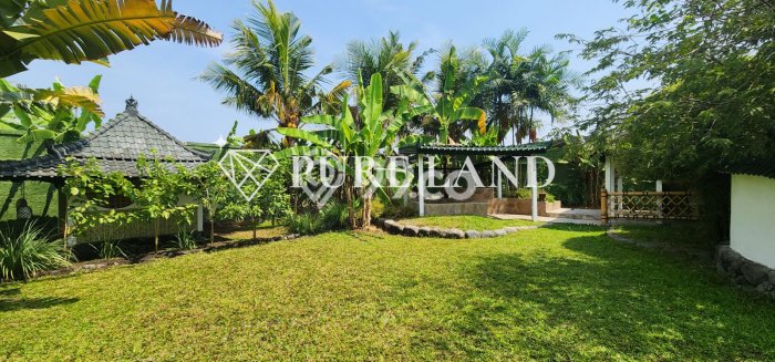 Vila Asri di Ubud, Luas 3340m2m², Pemandangan Indah di area Vila Asri di Ubud, Luas 3340m2m², Pemandangan Indah di area