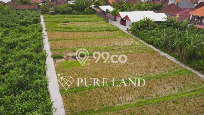 Tanah Kavling Dijual di Kerobokan, Badung dengan Luas Tanah 2485m2 Tanah Kavling Dijual di Kerobokan, Badung dengan Luas Tanah 2485m2