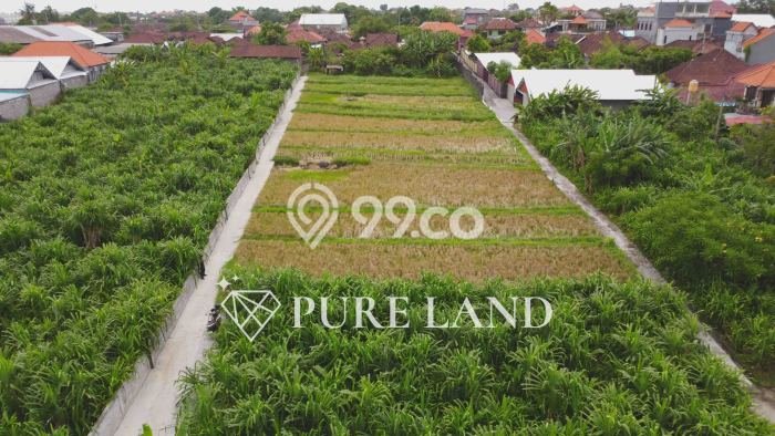 Tanah Kavling Dijual di Kerobokan, Badung dengan Luas Tanah 2485m2 Tanah Kavling Dijual di Kerobokan, Badung dengan Luas Tanah 2485m2