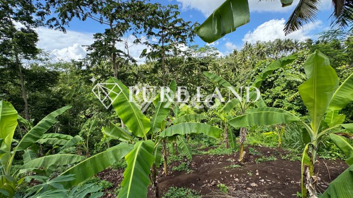 Tanah di Gianyar, Gianyar Luas 270m2 Dijual Segera Tanah di Gianyar, Gianyar Luas 270m2 Dijual Segera
