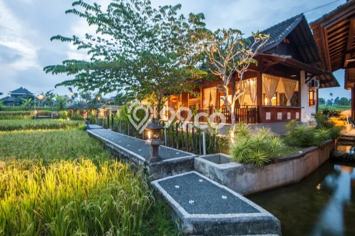 Dijual Cepat Rumah Bagus Siap Huni LB 200m2 di Ubud, Gianyar Dijual Cepat Rumah Bagus Siap Huni LB 200m2 di Ubud, Gianyar