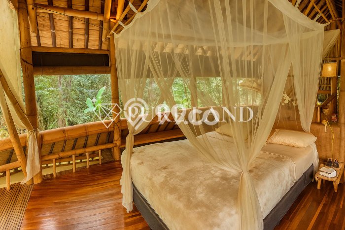 Dijual Rumah Minimalis Bagus Punya 2 KT di Ubud Gianyar Hak Sewa Dijual Rumah Minimalis Bagus Punya 2 KT di Ubud Gianyar Hak Sewa