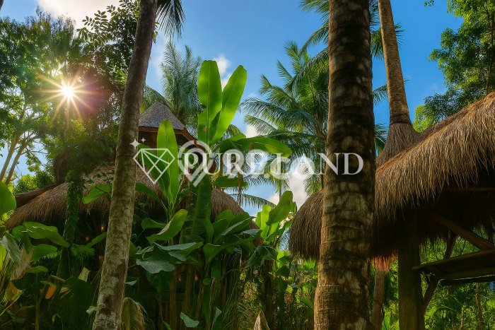 Dijual Rumah Minimalis Bagus Punya 2 KT di Ubud Gianyar Hak Sewa Dijual Rumah Minimalis Bagus Punya 2 KT di Ubud Gianyar Hak Sewa