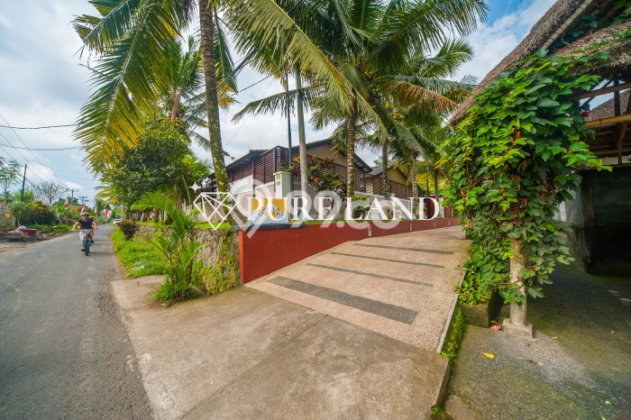 HARGA TERBAIK! Vila Kawasan Ubud, Ukuran 460m2m², Kawasan Potensial dengan nilai naik HARGA TERBAIK! Vila Kawasan Ubud, Ukuran 460m2m², Kawasan Potensial dengan nilai naik