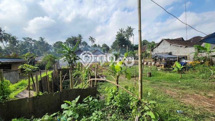 Kavling Tanah di Ubud Dijual Luas 444m2 Legalitas Hak Sewa Kavling Tanah di Ubud Dijual Luas 444m2 Legalitas Hak Sewa