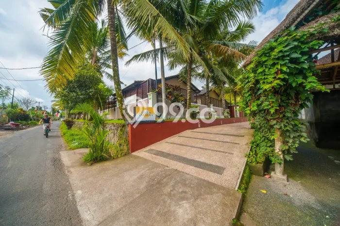 Rumah Modern Minimalis 1 Kamar Bisa Langsung Pindah di Ubud Rumah Modern Minimalis 1 Kamar Bisa Langsung Pindah di Ubud
