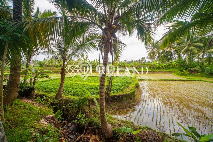 HARGA TERBAIK! Vila Kawasan Ubud, Ukuran 460m2m², Kawasan Potensial dengan nilai naik HARGA TERBAIK! Vila Kawasan Ubud, Ukuran 460m2m², Kawasan Potensial dengan nilai naik