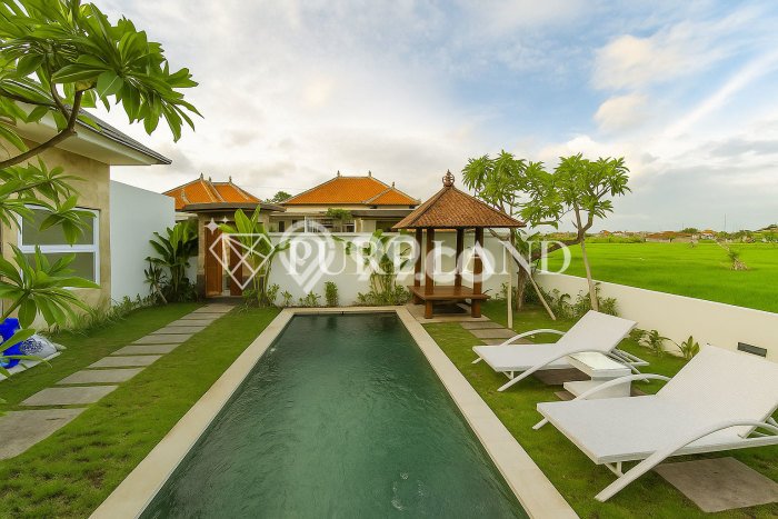 Jual Rumah Modern 2 KT di Sanur, Denpasar Jual Rumah Modern 2 KT di Sanur, Denpasar