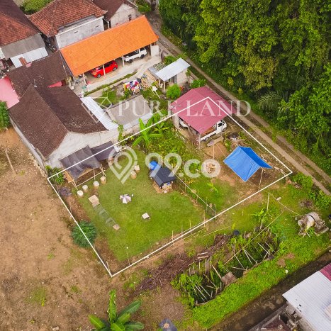 Kavling Tanah di Ubud Dijual Luas 444m2 Legalitas Hak Sewa Kavling Tanah di Ubud Dijual Luas 444m2 Legalitas Hak Sewa