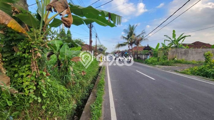Tanah Kosong Dijual di Gianyar dengan Area 3960m2 Tanah Kosong Dijual di Gianyar dengan Area 3960m2