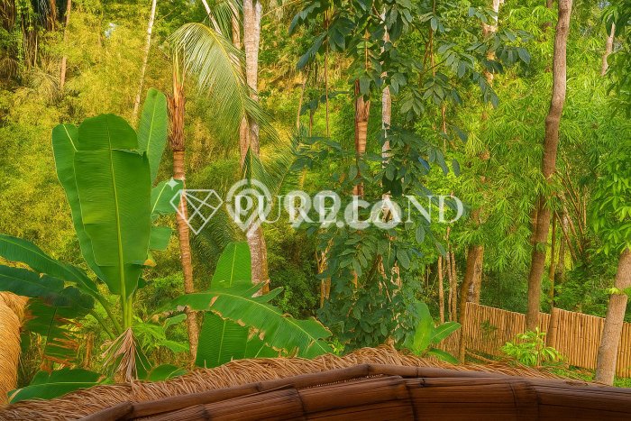 Dijual Rumah Minimalis Bagus Punya 2 KT di Ubud Gianyar Hak Sewa Dijual Rumah Minimalis Bagus Punya 2 KT di Ubud Gianyar Hak Sewa
