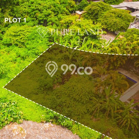 Tanah Dijual Lokasi Strategis di Badung dengan Luas 830m2 Tanah Dijual Lokasi Strategis di Badung dengan Luas 830m2