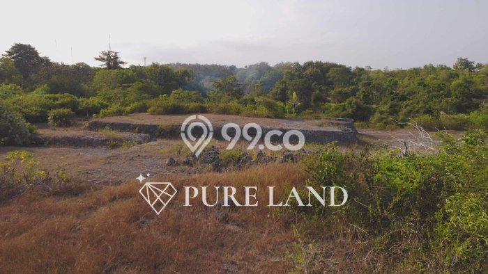 Tanah Dijual Lokasi Strategis di Badung dengan Luas 366m2 Tanah Dijual Lokasi Strategis di Badung dengan Luas 366m2