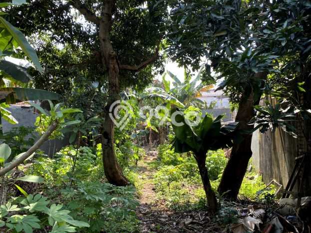 Hunian Super Elit dengan Akses Paling Strategis di Bintaro, Jakarta Selatan Hunian Super Elit dengan Akses Paling Strategis di Bintaro, Jakarta Selatan