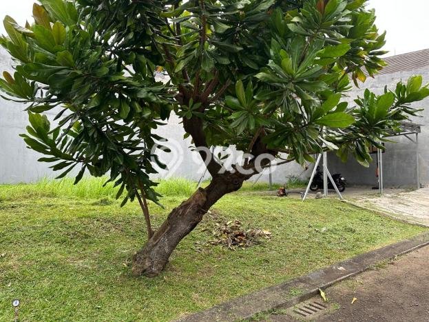 Tanah Kavling Dijual di Bintaro, Tangerang Selatan dengan Luas Tanah 277m2 Tanah Kavling Dijual di Bintaro, Tangerang Selatan dengan Luas Tanah 277m2