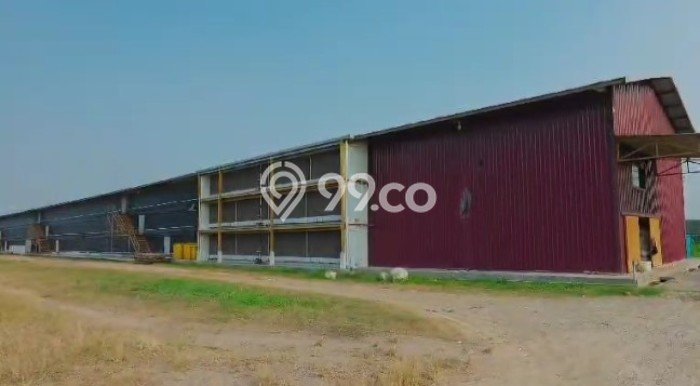 Lahan untuk Dijual di Kronjo Tangerang Luas 26500m2 Lahan untuk Dijual di Kronjo Tangerang Luas 26500m2